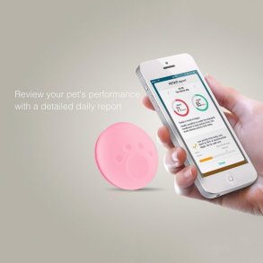 Petkit Pet Activity Monitor pink